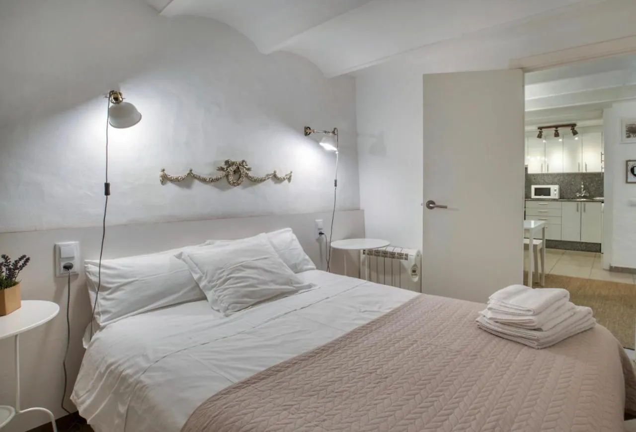 Old Side Girona Two Apartment