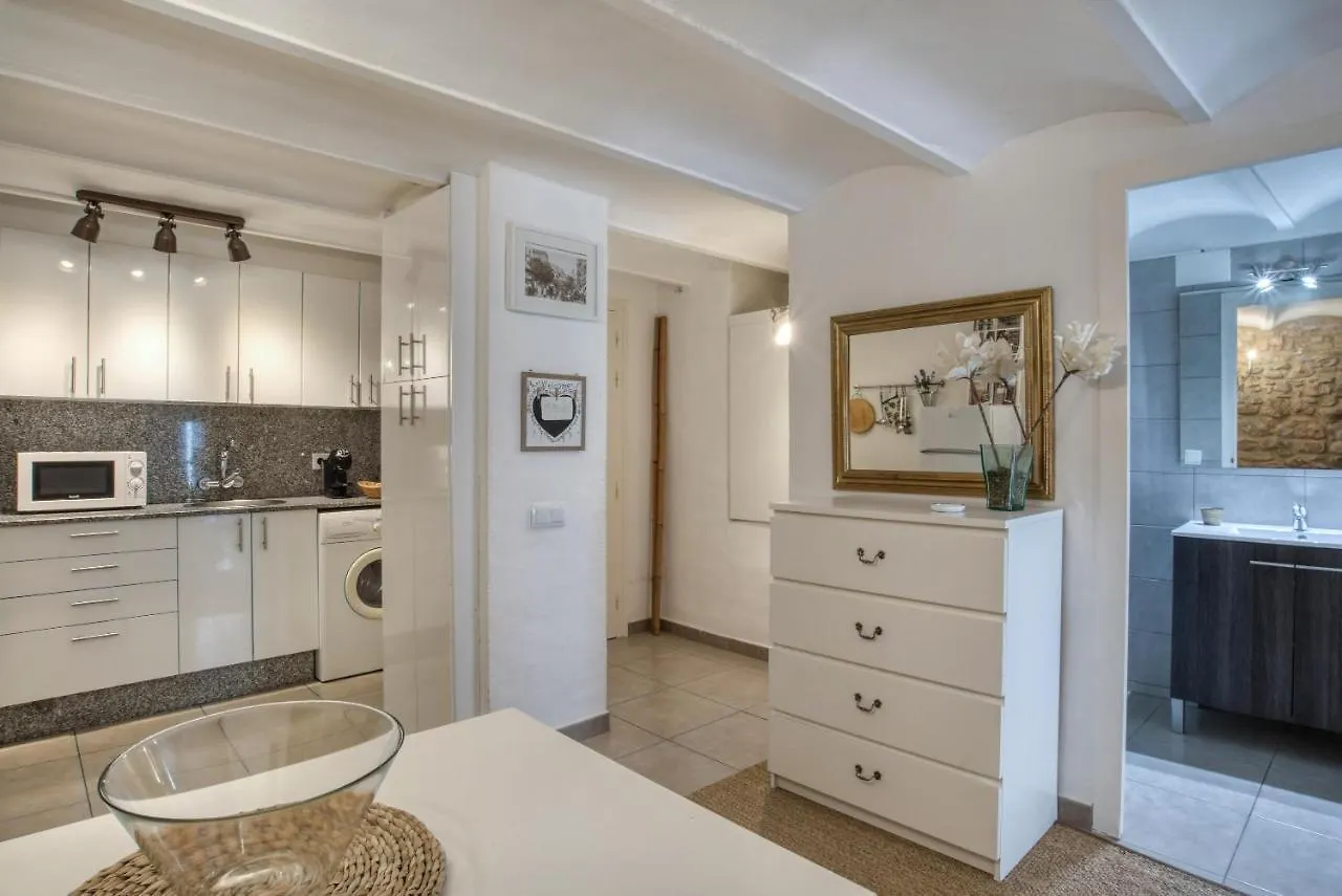 Old Side Girona Two Apartment