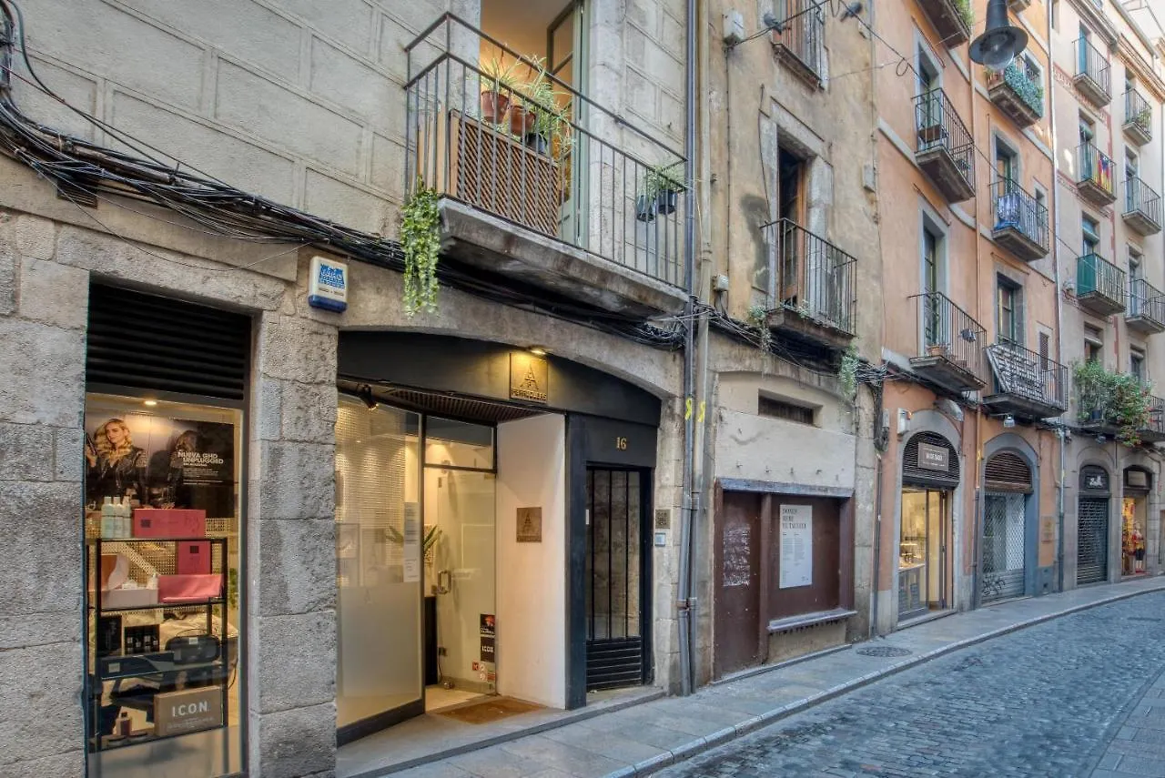 Old Side Girona Two Apartment 0*,